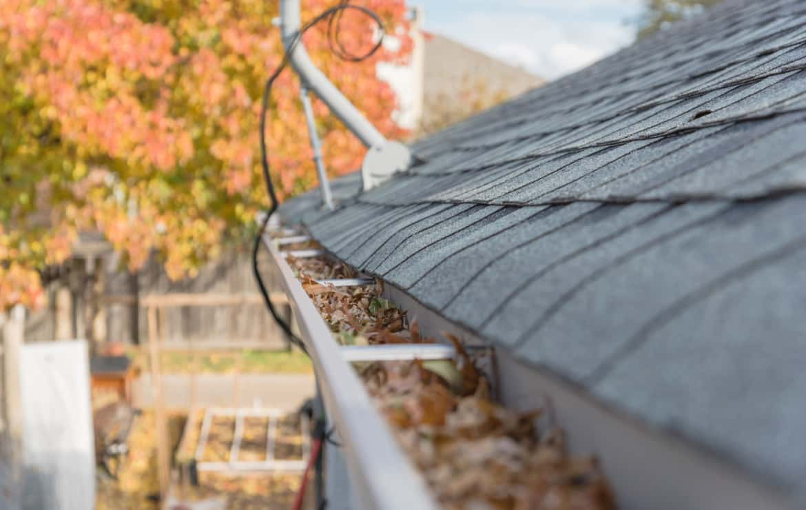 Quelle gouttière pour sa maison ?